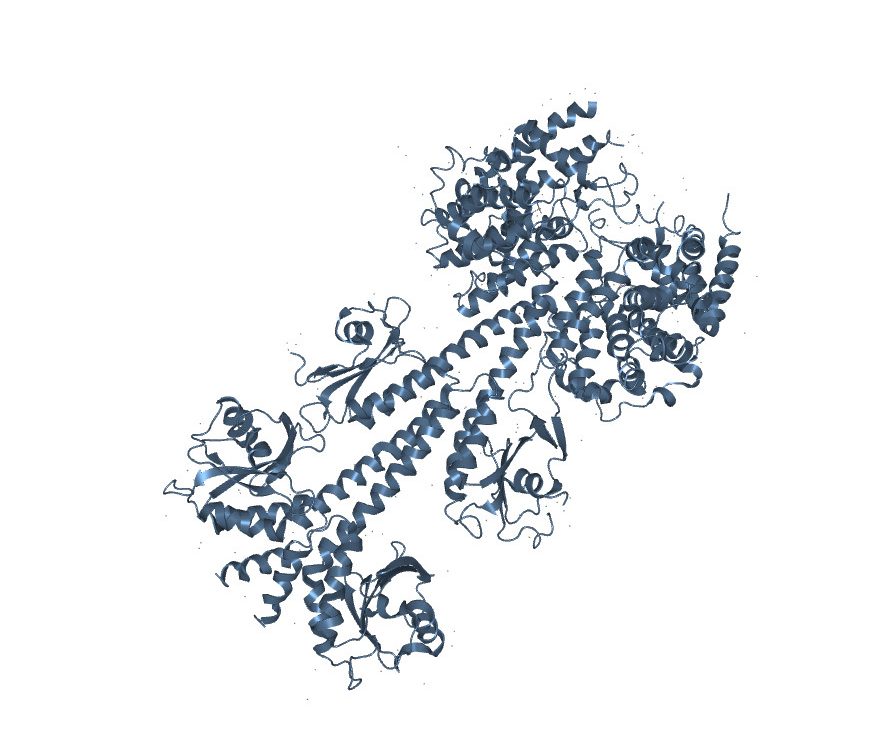 Rapid Identification of Novel PDE2 Inhibitors
