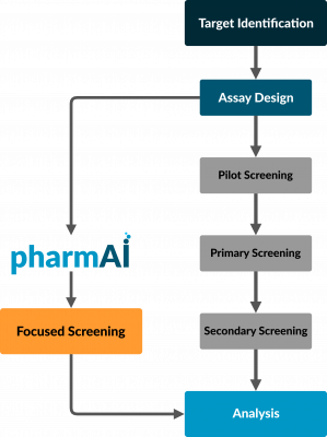 Diagram comparing HTS and Focused Screening workflow