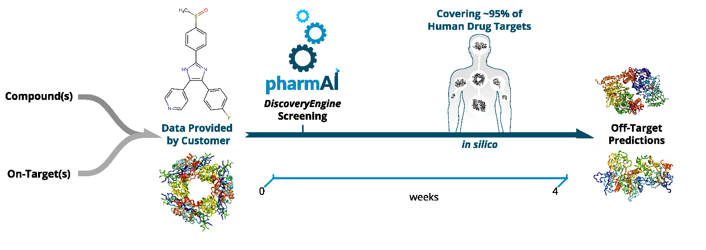 Accelerated Workflow Diagram